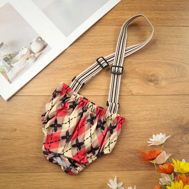 dog-pants-915-1525- (3)